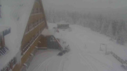 Parkoviště a hlavní vchod