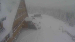 Parkoviště a hlavní vchod