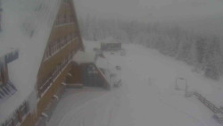 Parkoviště a hlavní vchod