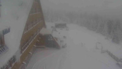 Parkoviště a hlavní vchod