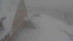 Parkoviště a hlavní vchod