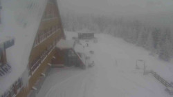 Parkoviště a hlavní vchod