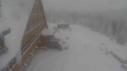 Parkoviště a hlavní vchod