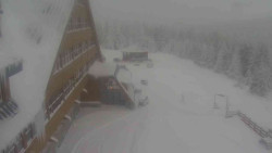 Parkoviště a hlavní vchod