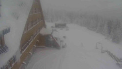 Parkoviště a hlavní vchod