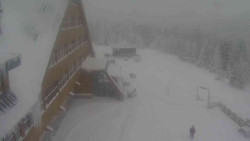 Parkoviště a hlavní vchod