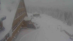 Parkoviště a hlavní vchod