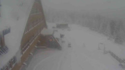 Parkoviště a hlavní vchod