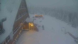 Parkoviště a hlavní vchod