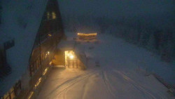 Parkoviště a hlavní vchod