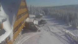 Parkoviště a hlavní vchod