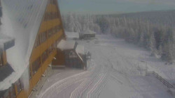 Parkoviště a hlavní vchod