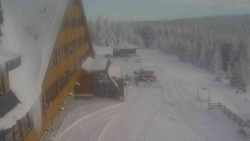 Parkoviště a hlavní vchod