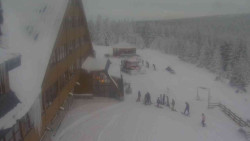 Parkoviště a hlavní vchod