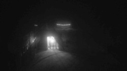 Parkoviště a hlavní vchod