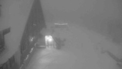 Parkoviště a hlavní vchod