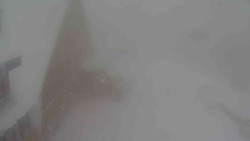 Parkoviště a hlavní vchod