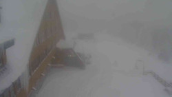 Parkoviště a hlavní vchod