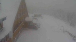 Parkoviště a hlavní vchod