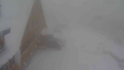 Parkoviště a hlavní vchod