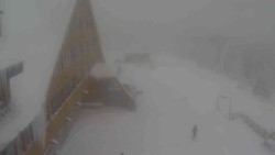 Parkoviště a hlavní vchod