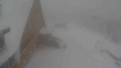 Parkoviště a hlavní vchod