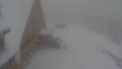 Parkoviště a hlavní vchod