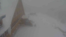 Parkoviště a hlavní vchod