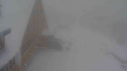 Parkoviště a hlavní vchod