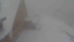 Parkoviště a hlavní vchod