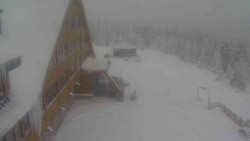 Parkoviště a hlavní vchod