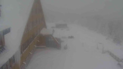 Parkoviště a hlavní vchod