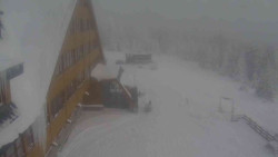 Parkoviště a hlavní vchod