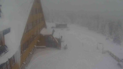 Parkoviště a hlavní vchod