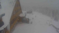 Parkoviště a hlavní vchod