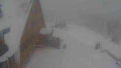 Parkoviště a hlavní vchod