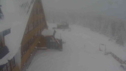 Parkoviště a hlavní vchod