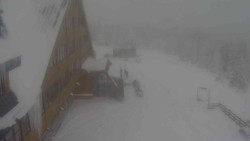 Parkoviště a hlavní vchod