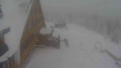 Parkoviště a hlavní vchod