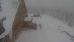 Parkoviště a hlavní vchod