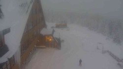 Parkoviště a hlavní vchod