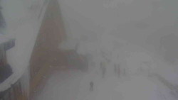 Parkoviště a hlavní vchod