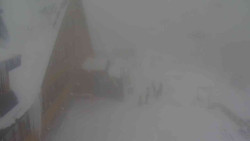 Parkoviště a hlavní vchod