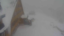 Parkoviště a hlavní vchod