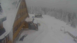 Parkoviště a hlavní vchod