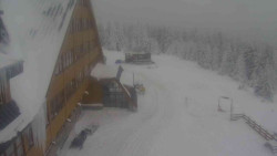 Parkoviště a hlavní vchod