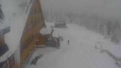 Parkoviště a hlavní vchod