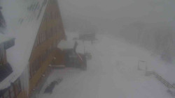 Parkoviště a hlavní vchod