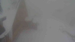 Parkoviště a hlavní vchod