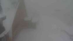 Parkoviště a hlavní vchod